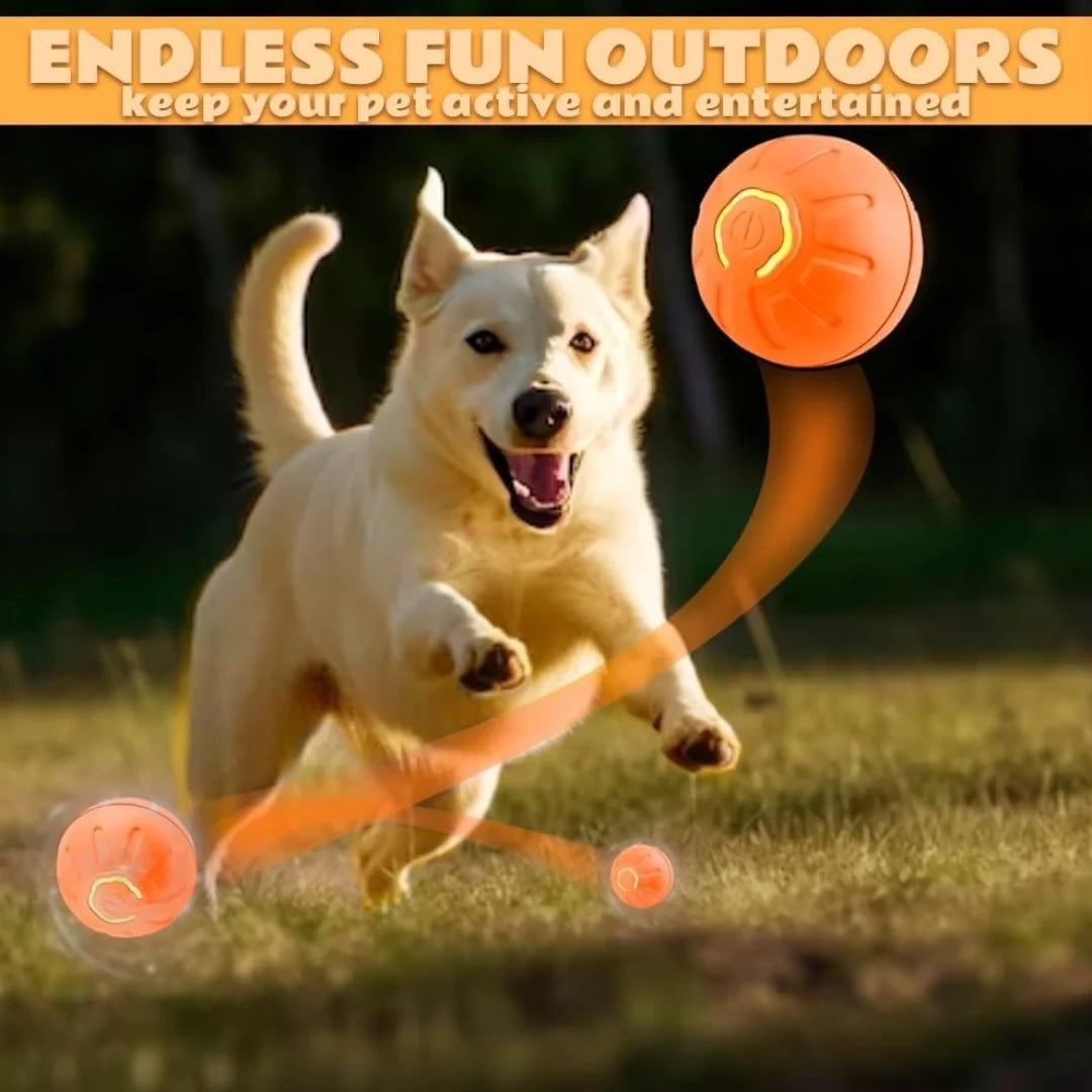 Pet toys Gravity Electric Amusement Pet Ball  For Dogs and Cats