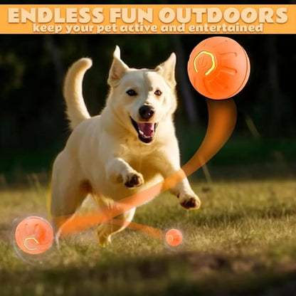 Pet toys Gravity Electric Amusement Pet Ball  For Dogs and Cats