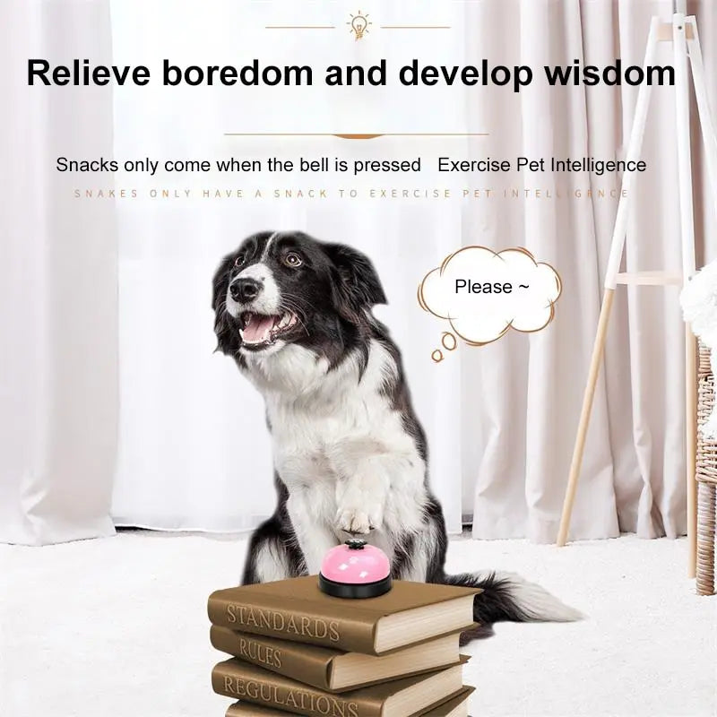 Pet Toy Training Dinner