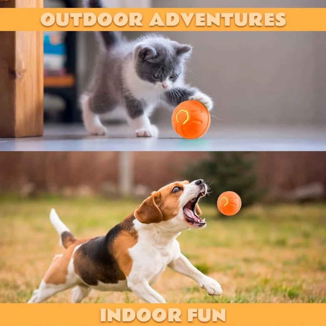 Pet toys Gravity Electric Amusement Pet Ball  For Dogs and Cats