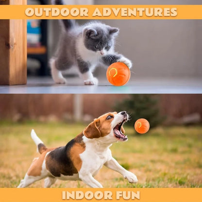 Pet toys Gravity Electric Amusement Pet Ball  For Dogs and Cats