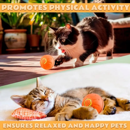 Pet toys Gravity Electric Amusement Pet Ball  For Dogs and Cats